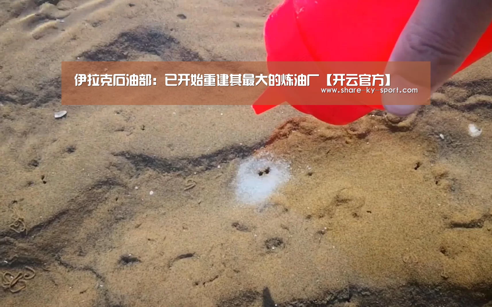 伊拉克石油部:已开始重建其最大的炼油厂【开云官方】(图2) 开云