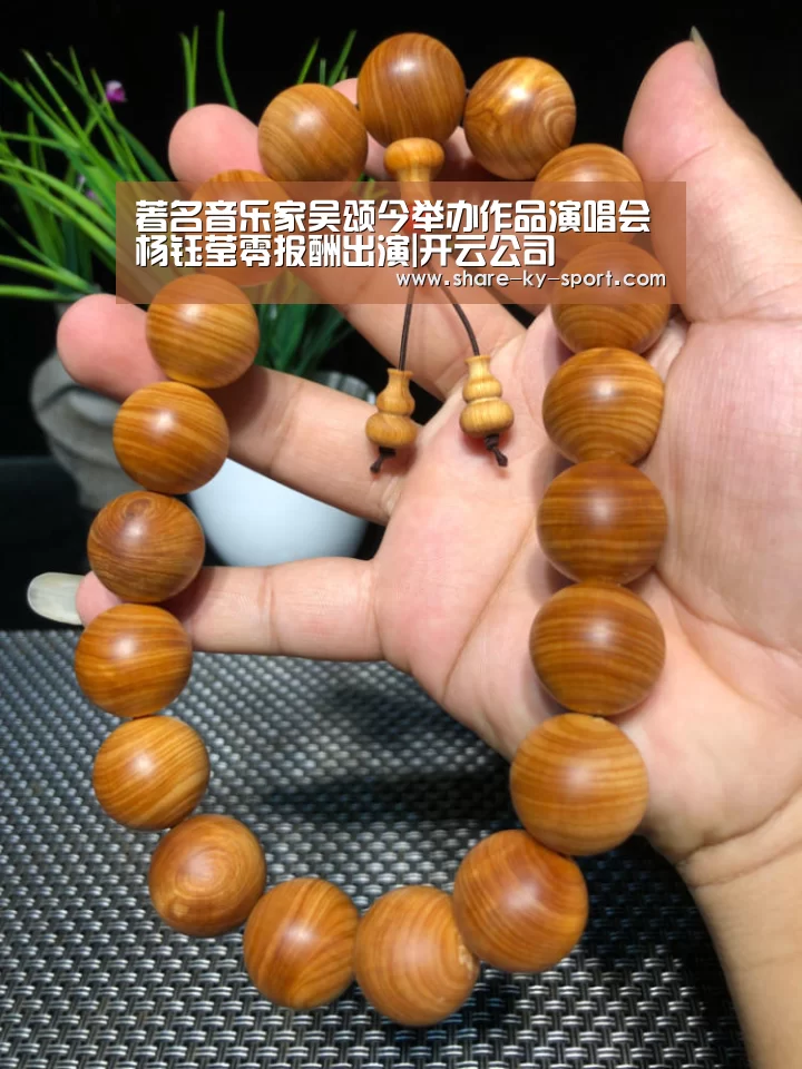 著名音乐家吴颂今举办作品演唱会 杨钰莹零