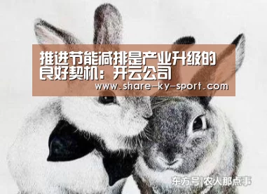 推进节能减排是产业升级的良好契机:开云公司(图4) 开云团队